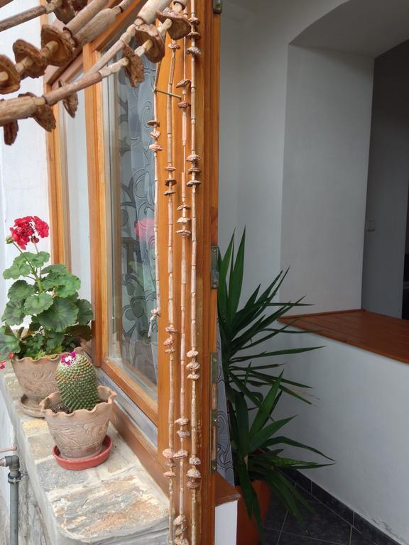 Petra Apartmanok Velem Kamer foto